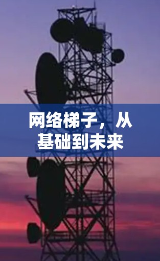 网络梯子,从基础到未来 网络梯子,从基础到未来