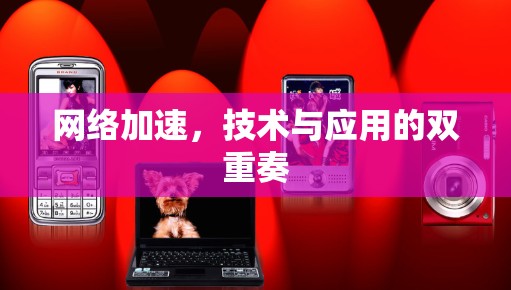网络加速,技术与应用的双重奏 网络加速,技术与应用的双重奏