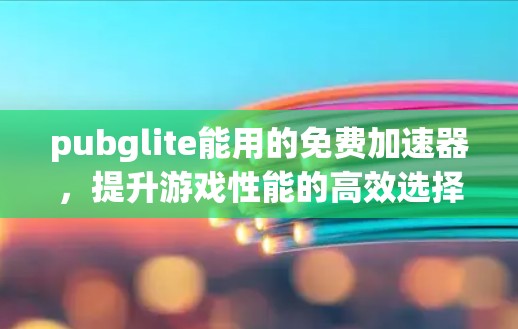 pubglite能用的免费加速器,提升游戏性能的高效选择 pubglite能用的免费加速器,提升游戏性能的高效选择