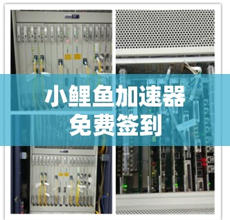 小鲤鱼加速器免费签到 小鲤鱼加速器免费签到