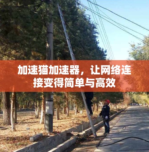 加速猫加速器,让网络连接变得简单与高效 加速猫加速器,让网络连接变得简单与高效