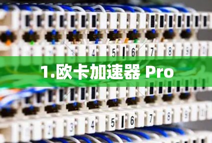 1.欧卡加速器 Pro