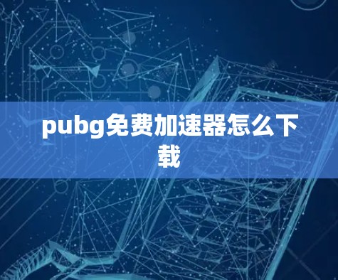 pubg免费加速器怎么下载