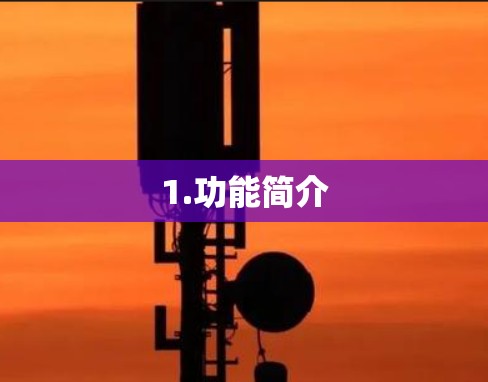 1.功能简介 1.功能简介