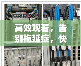 高效观看,告别拖延症,快速下载视频的实用技巧 高效观看,告别拖延症,快速下载视频的实用技巧