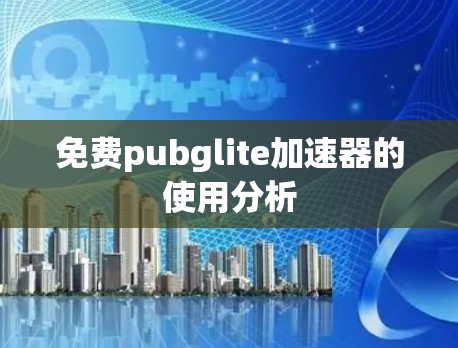 免费pubglite加速器的使用分析 免费pubglite加速器的使用分析