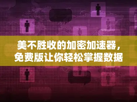 美不胜收的加密加速器,免费版让你轻松掌握数据传输的秘密 美不胜收的加密加速器,免费版让你轻松掌握数据传输的秘密