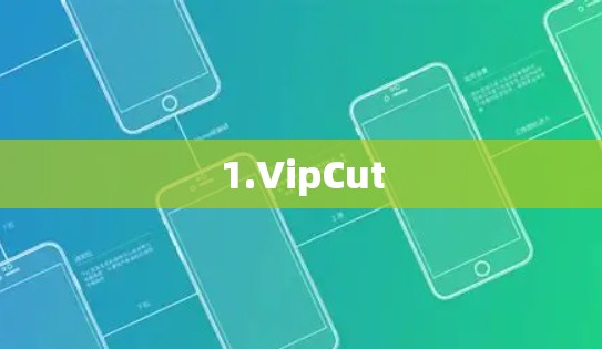1.VipCut 1.VipCut
