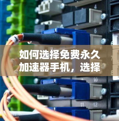 如何选择免费永久加速器手机,选择适合自己的选择 如何选择免费永久加速器手机,选择适合自己的选择