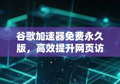 谷歌加速器免费永久版,高效提升网页访问速度的秘密 谷歌加速器免费永久版,高效提升网页访问速度的秘密