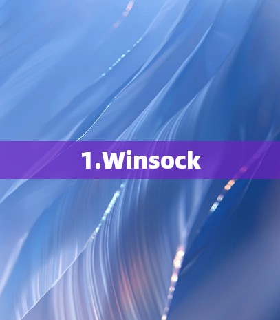 1.Winsock 1.Winsock