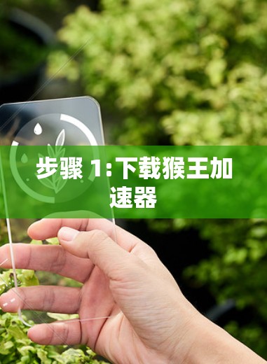 步骤 1:下载猴王加速器 步骤 1:下载猴王加速器