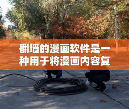 翻墙的漫画软件是一种用于将漫画内容复制到网络上并上传到其他网站或服务器的工具。以下是一些常用的翻墙漫画软件及其特点