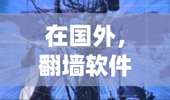 在国外,翻墙软件是一种用于绕过网络防火墙,访问外部网络的工具。以下是一些常见的国外翻墙软件及其特点 在国外,翻墙软件是一种用于绕过网络防火墙,访问外部网络的工具。以下是一些常见的国外翻墙软件及其特点