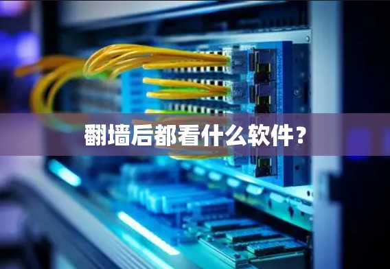 翻墙后都看什么软件？