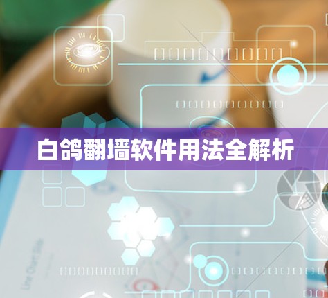 白鸽翻墙软件用法全解析 白鸽翻墙软件用法全解析