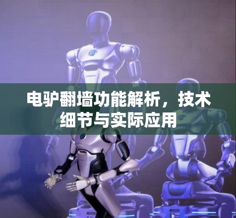 电驴翻墙功能解析,技术细节与实际应用 电驴翻墙功能解析,技术细节与实际应用