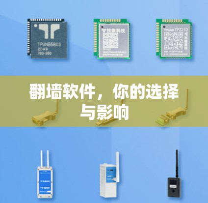 翻墙软件,你的选择与影响 翻墙软件,你的选择与影响