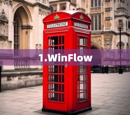 1.WinFlow 1.WinFlow