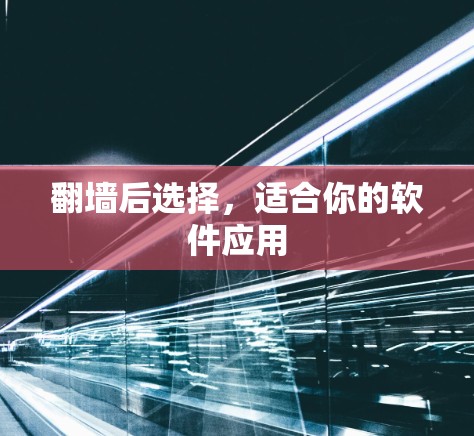 翻墙后选择,适合你的软件应用 翻墙后选择,适合你的软件应用
