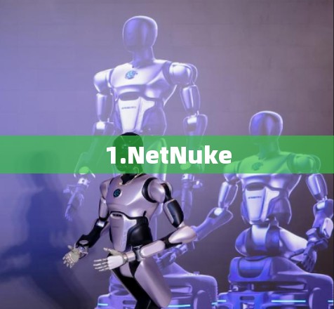1.NetNuke 1.NetNuke