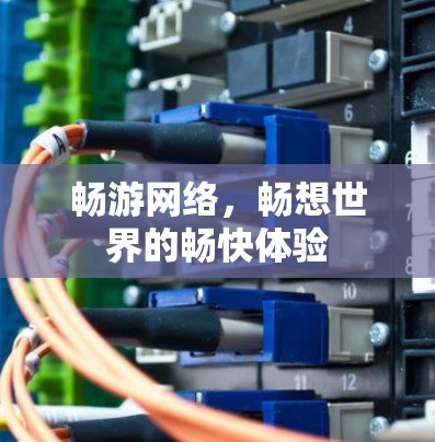 畅游网络,畅想世界的畅快体验 畅游网络,畅想世界的畅快体验