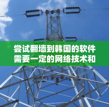 尝试翻墙到韩国的软件需要一定的网络技术和设备配置。以下是一个详细的步骤指南,帮助你顺利完成翻墙 尝试翻墙到韩国的软件需要一定的网络技术和设备配置。以下是一个详细的步骤指南,帮助你顺利完成翻墙
