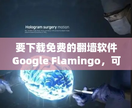 要下载免费的翻墙软件Google Flamingo，可以按照以下步骤进行