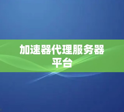 加速器代理服务器平台
