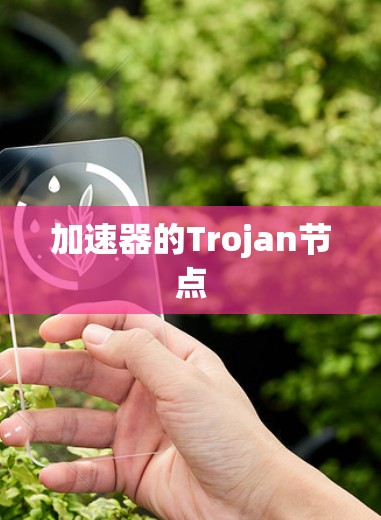 加速器的Trojan节点 加速器的Trojan节点