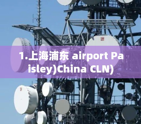 1.上海浦东 airport Paisley)China CLN) 1.上海浦东 airport Paisley)China CLN)