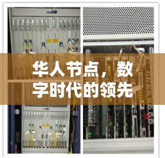 华人节点，数字时代的领先者