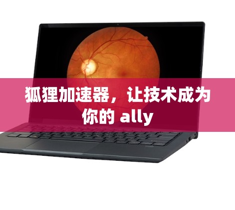 狐狸加速器,让技术成为你的 ally 狐狸加速器,让技术成为你的 ally