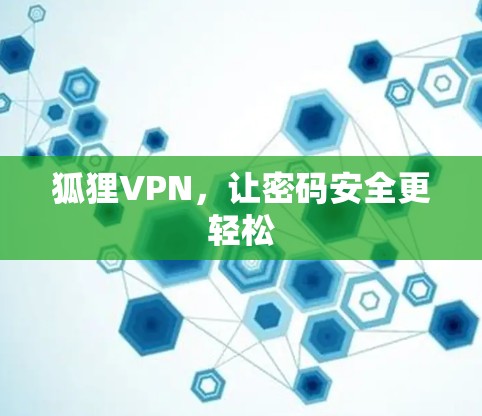 狐狸VPN,让密码安全更轻松 狐狸VPN,让密码安全更轻松