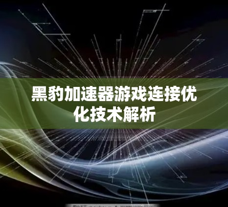 黑豹加速器游戏连接优化技术解析 黑豹加速器游戏连接优化技术解析