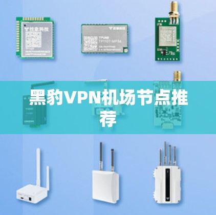 黑豹VPN机场节点推荐 黑豹VPN机场节点推荐