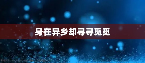 身在异乡却寻寻觅觅