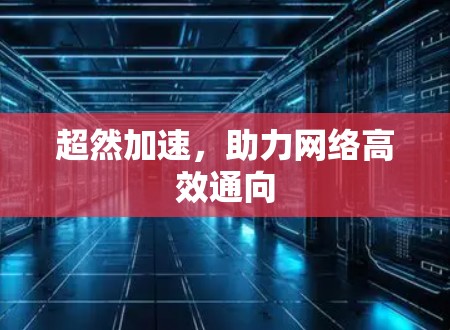 超然加速，助力网络高效通向