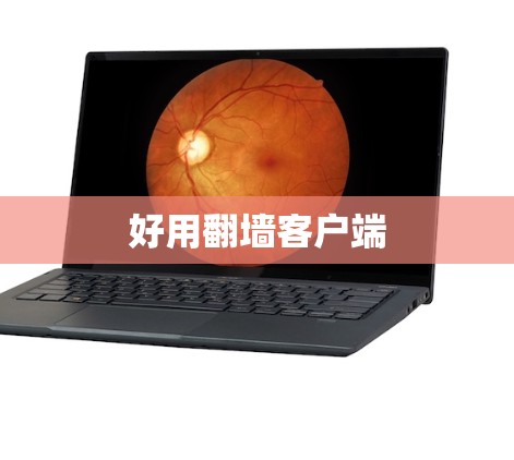 好用翻墙客户端 好用翻墙客户端