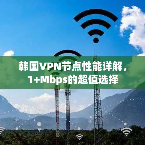韩国VPN节点性能详解，1+Mbps的超值选择