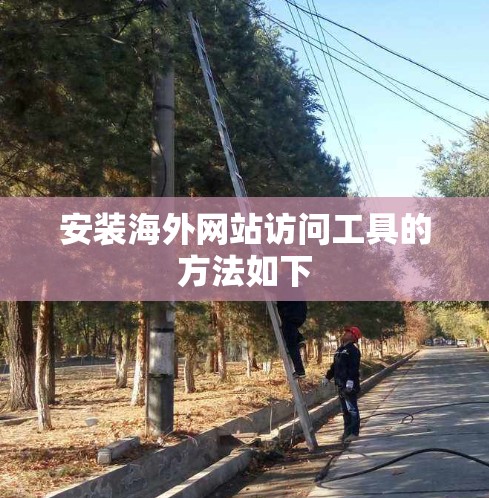 安装海外网站访问工具的方法如下