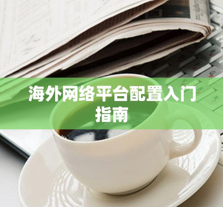 海外网络平台配置入门指南