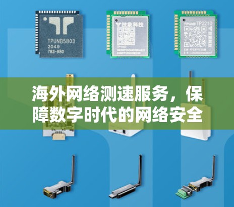 海外网络测速服务,保障数字时代的网络安全 海外网络测速服务,保障数字时代的网络安全