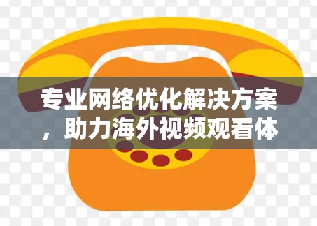 专业网络优化解决方案,助力海外视频观看体验 专业网络优化解决方案,助力海外视频观看体验