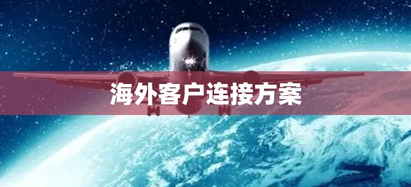 海外客户连接方案 海外客户连接方案