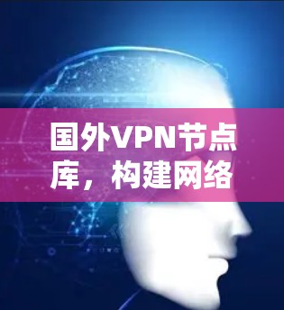 国外VPN节点库,构建网络安全防护体系 国外VPN节点库,构建网络安全防护体系