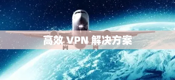 高效 VPN 解决方案 高效 VPN 解决方案