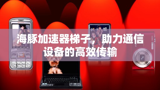海豚加速器梯子,助力通信设备的高效传输