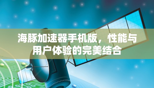 海豚加速器手机版,性能与用户体验的完美结合 海豚加速器手机版,性能与用户体验的完美结合