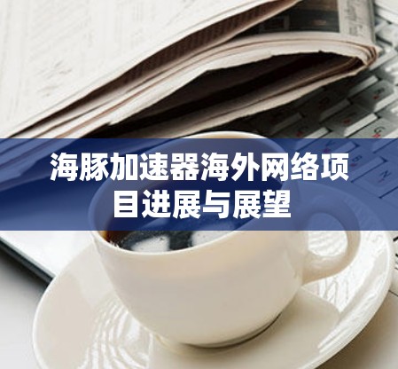 海豚加速器海外网络项目进展与展望